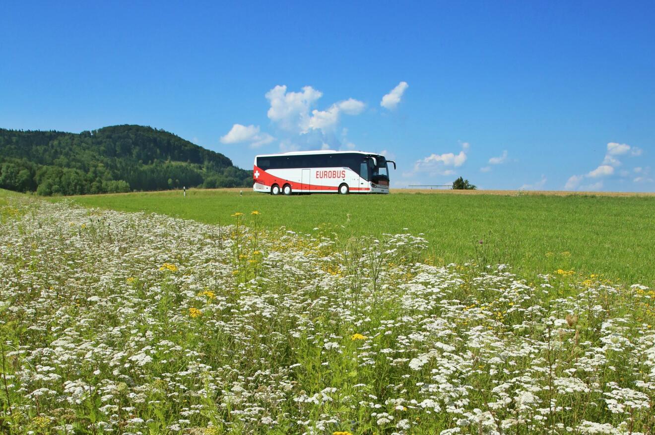 Entdecken Sie Europa.