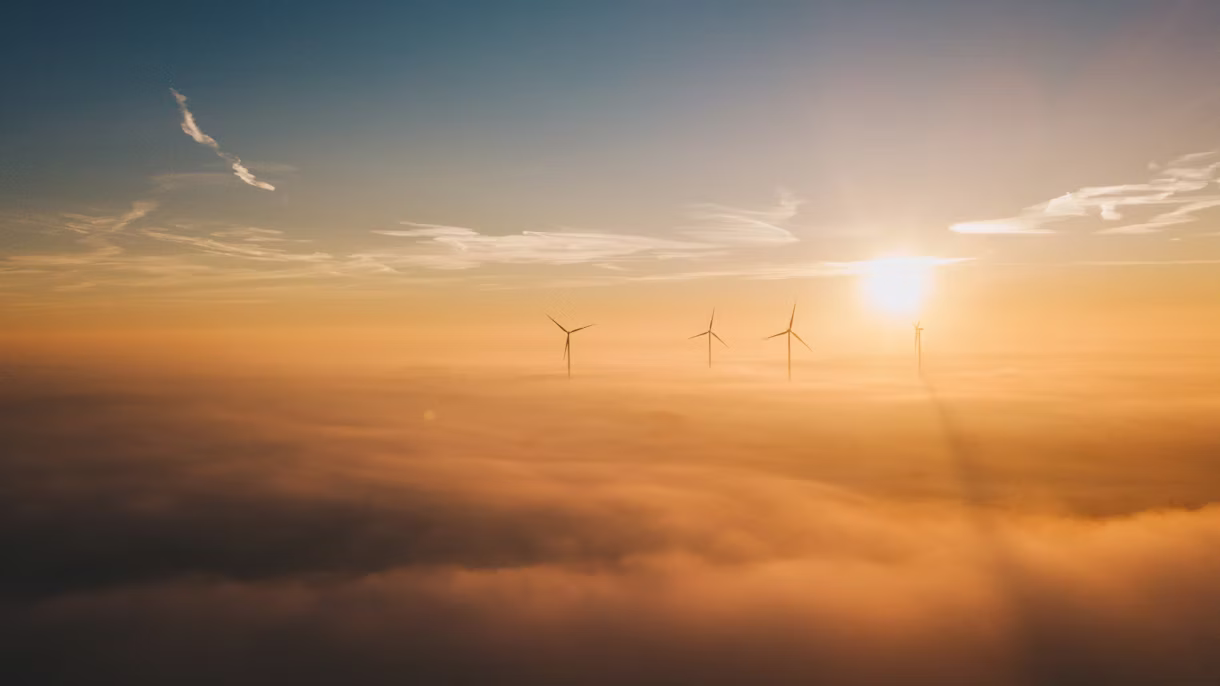 Stimmungsbild: Windkraftwerke in der Abendsonne.