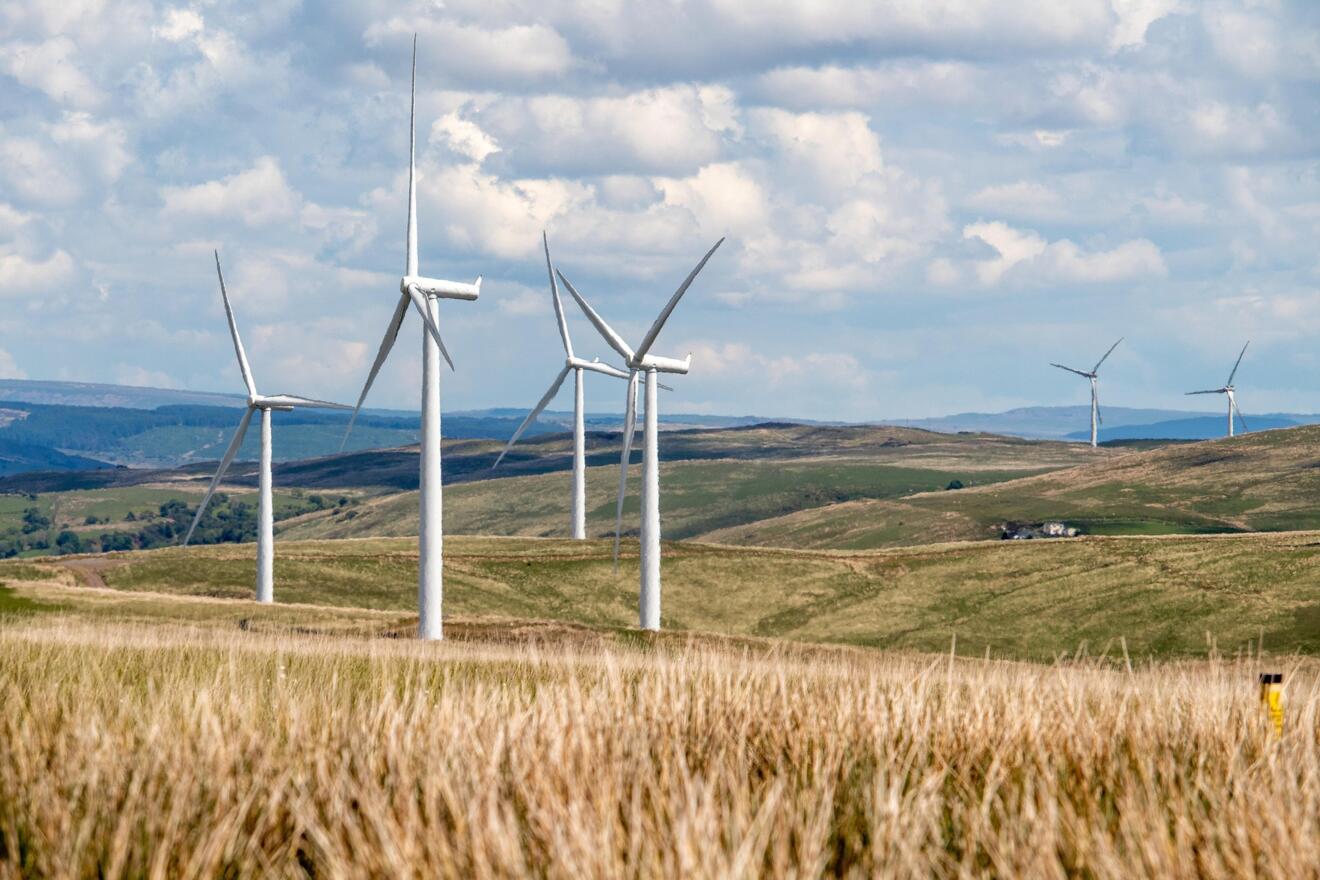 Windräder im Kornfeld