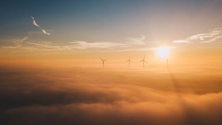 Stimmungsbild: Windkraftwerke in der Abendsonne.