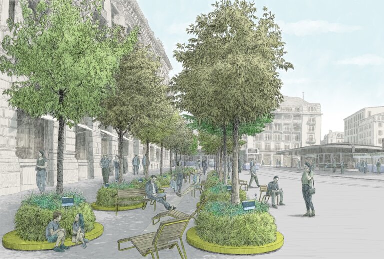 Visualisierung der Jungbäume am Paradeplatz.